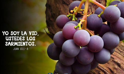 Palabra de Dios 28 de Abril de 2024. V DOMINGO DE PASCUA.