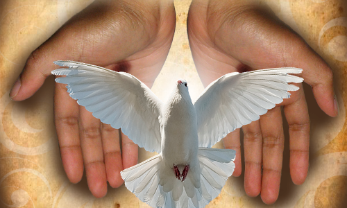 Palabra de Dios 6 de Mayo de 2024. VI Lunes de Pascua.
