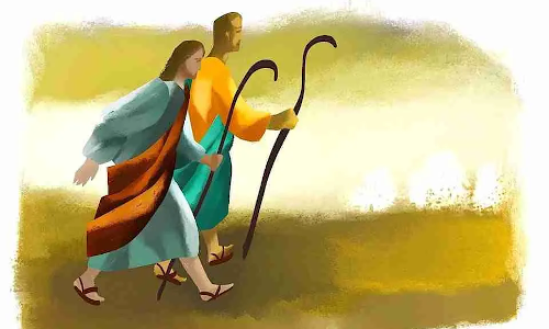 Palabra de Dios 14 de Julio de 2024. XV DOMINGO DEL TIEMPO ORDINARIO.