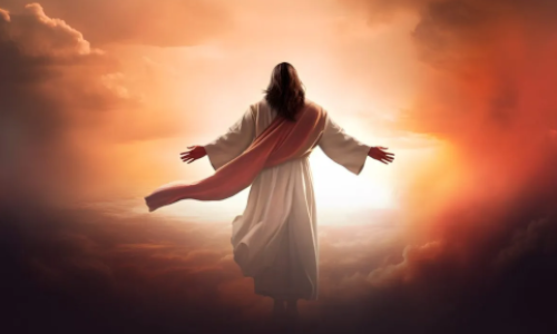 Palabra de Dios. 20 de julio 2024.