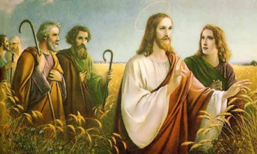 Palabra De Dios 19 de julio 2024.