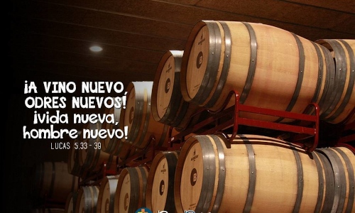 Palabra de Dios 6 de Sep. de 2024. Viernes XXII de Tiempo Ordinario.