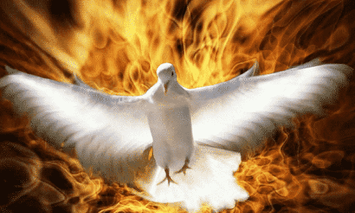 Palabra de Dios 19 de Oct. de 2024. Sabado XXVIII de Tiempo Ordinario.