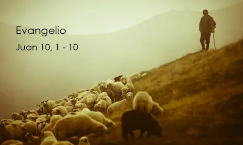 Palabra de Dios 26 de Abril del 2026. IV DOMINGO DE PASCUA.