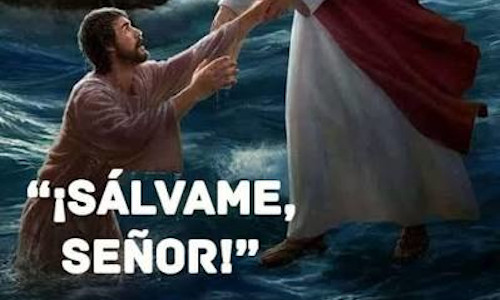 Palabra de Dios 3 de Agosto de 2026. Lunes XVIII de Tiempo Ordinario.