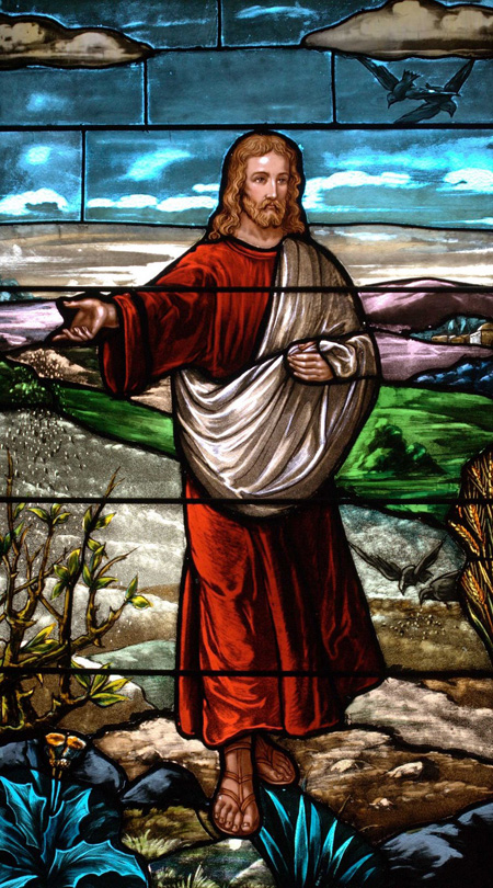 Evangelio San Mateo 13,36-43. Martes 30 de Julio de 2013.