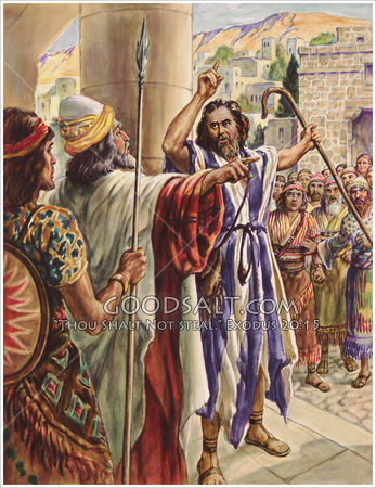 1a lect del libro del Profeta Amós 7,12-15. Domingo 12 de Julio de 2015.