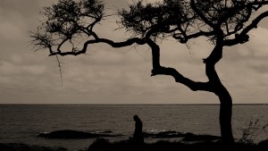 La reflexión del día: El viejo perro cazador.