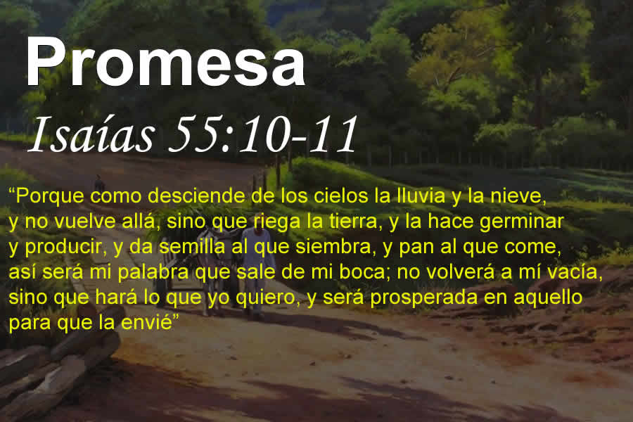 Ver las imágenes de origen