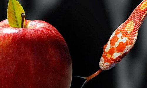 Las tentaciones, tormento para unos edificación para otros. Lc 4, 1-13.