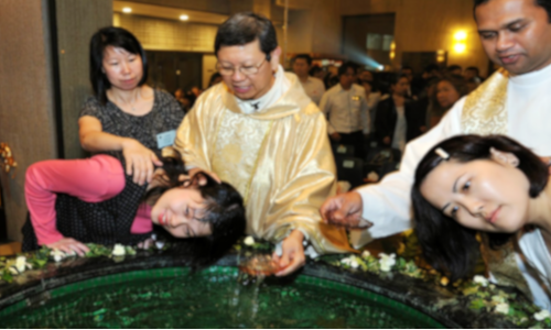 Los bautizados, los confusos, los dispersos, los alejados, prioridad de la misión.