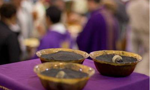 Ceniza raíces muy profundas.