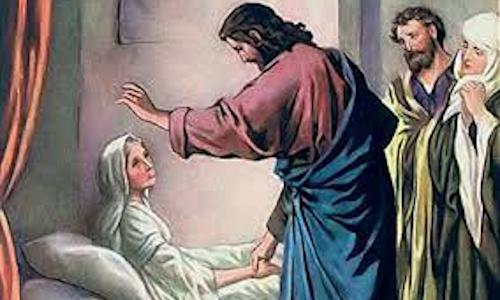 Orar y pedir a Jesús por los enfermos de covid insistentemente.