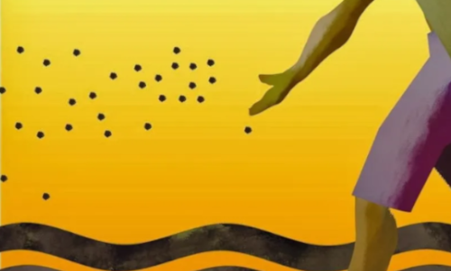 Lo que se ha dejado de sembrar.