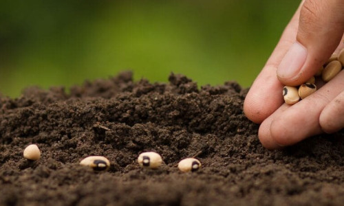 Palabra de Dios 28 de nero del 2026. Santo Tomás de Aquino.