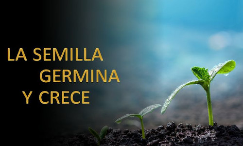 Palabra de Dios 30 de Enero del 2026. Viernes III de Tiempo Ordinario.