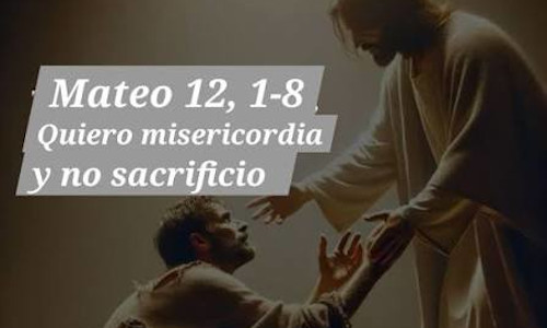 Palabra de Dios 17 de Julio de 2026. Viernes XV de Tiempo Ordinario.